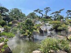 -罗红摄影艺术馆