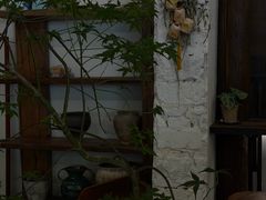 -竹子咖啡bamboo coffee