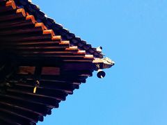 -西安关中民俗艺术博物院