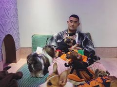 -逗柴咖啡屋·狗咖猫咖宠物桌游
