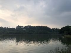 -南国桃园旅游度假区