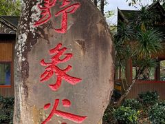 -野象谷景区