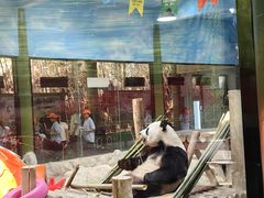 -栾川竹海野生动物园