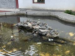 -红螺寺