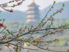 -中山夏威夷游泳馆(小榄店)