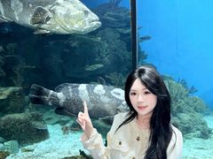 -福州罗源湾海洋世界旅游区