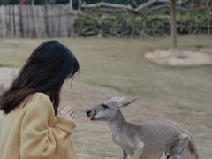 -泉州海丝野生动物世界