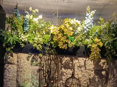 -鉴川·川菜传承(星汇两江店)