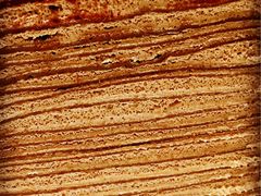 -Awfully Chocolate(嘉里城店)