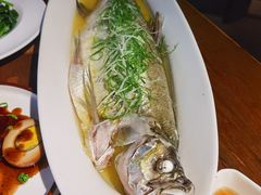 -金枝玉叶上海人家食府(三里河店)