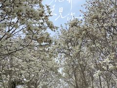 -睦南公园