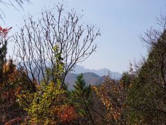 景点-百里山水画廊