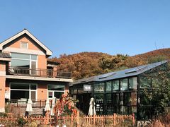 -北马山庄植趣咖啡