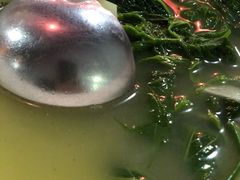 -东鸽皇(奥园·中环广场店)