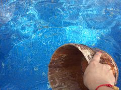 -庐山天沐温泉度假村