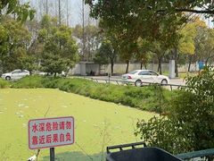 -无忧学车·华茂驾校(宝山校区)