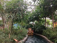 -南宫五洲植物乐园