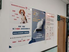 -中农大我爱我爱动物医院·核磁CT·猫病·24小时夜诊中心(石佛营店)