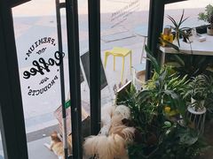 -隹木咖啡馆(宝龙广场店)