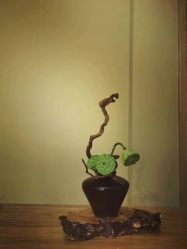 -美肤盾祛痘·问题肌头疗管理中心