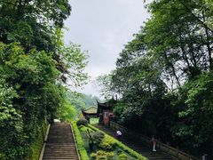 -青城山