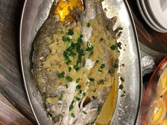 蒸盲槽鱼-石岐乳鸽村(南海第三分店)