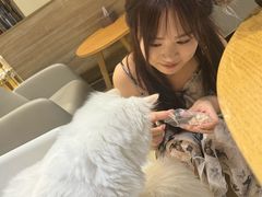 -藏猫猫咖啡主题馆(中央大道店)