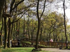 -WeLope紫金山探险公园