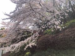 -杭州少年儿童公园