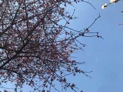 -四川大学(华西校区)