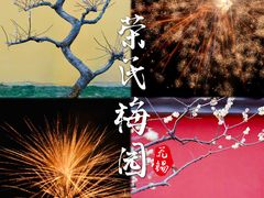-无锡梅园公园