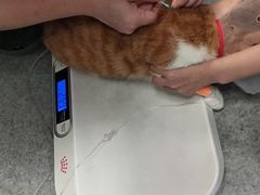 -爱诺耐芙动物医院(万博店)