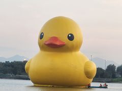 -深圳人才公园