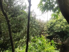 -故乡缘·香格里拉山庄(冷竹路店)