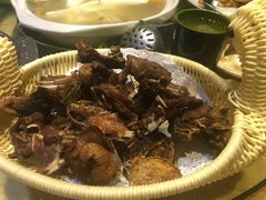 -龙泉人椰子鸡.糟粕醋.海南菜(三亚旗舰店)