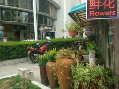 -花草间花行(法华镇路店)