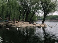 -石家庄市动物园