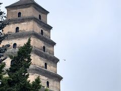 -大慈恩寺(大雁塔)