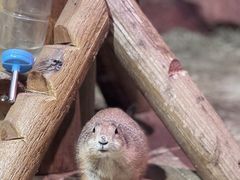 -正佳雨林生态植物园