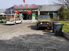 -上海海湾国家森林公园