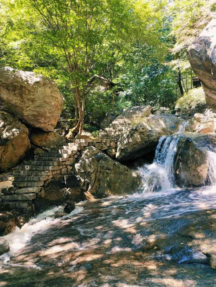 五嶽寨國家森林公園-