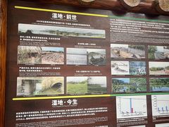-华侨城湿地公园