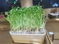 -海底捞火锅(铂澜大象城店)