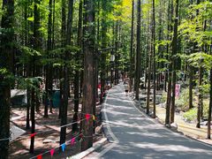 -山王坪喀斯特国家生态公园