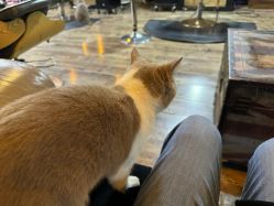 -青木造型HAIR·あおき髪を刈る潮人店