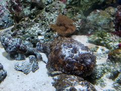 -鹿儿岛水族馆