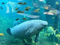 -珠海长隆海洋王国