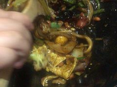 -食乐佳麻辣香锅(森林摩尔商业街区店)