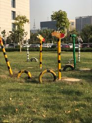 -河南省儿童医院(郑东院区)