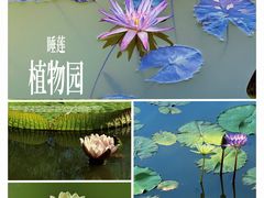 -国家植物园南园